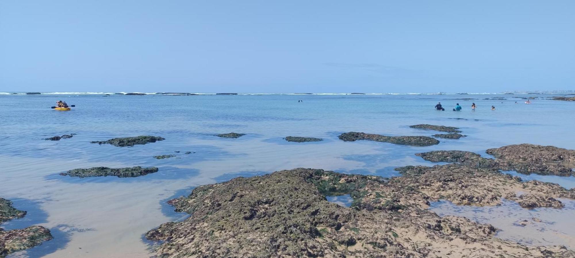 Apartment Blue House Maceio (Alagoas)